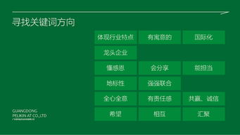 百利金企業形象策劃方案演示